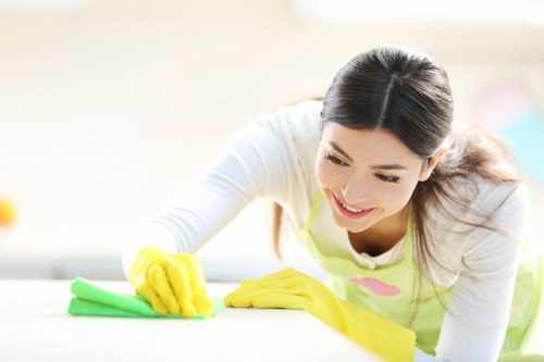 Professional pet stain odour removal in Stratford on a carpeted living room