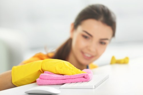 Surface-specific stain removal process for rugs and furniture
