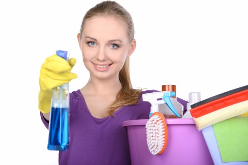 Carpet and rug stain removal services in Stratford
