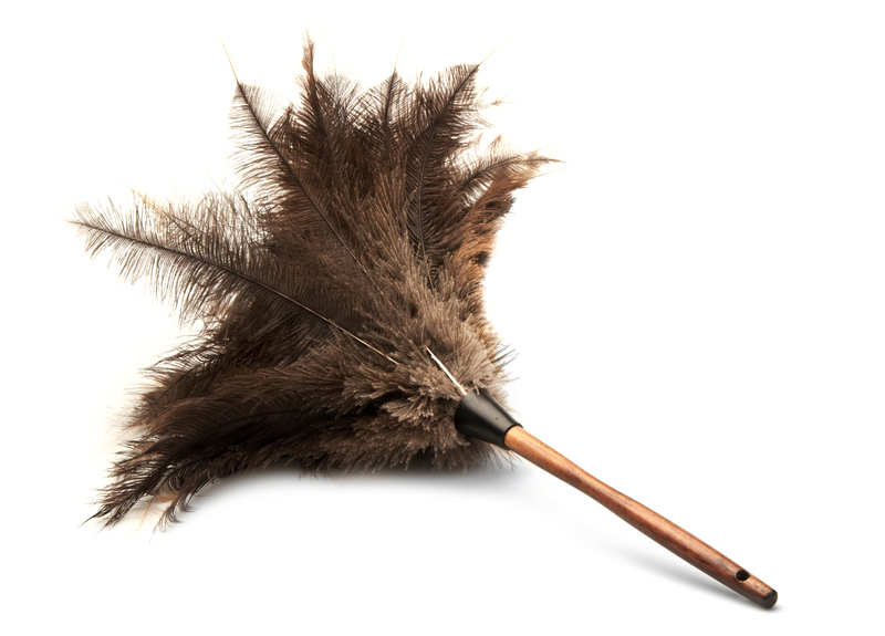 Feel the Difference in Your Home by Removing Pet Odors